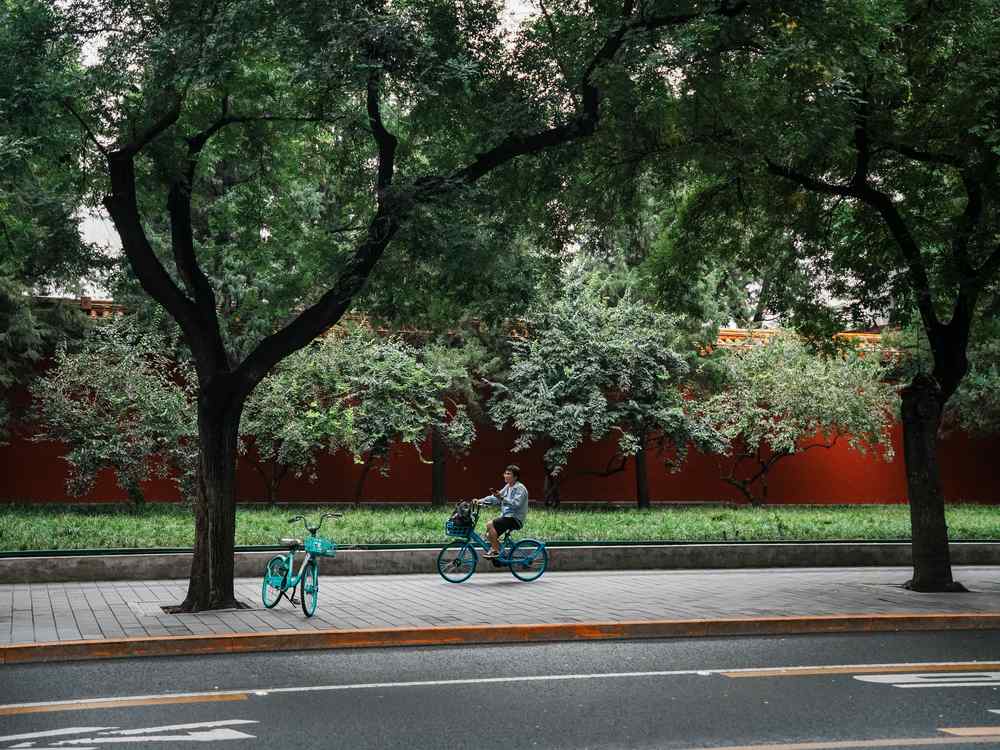 one-day-beijing