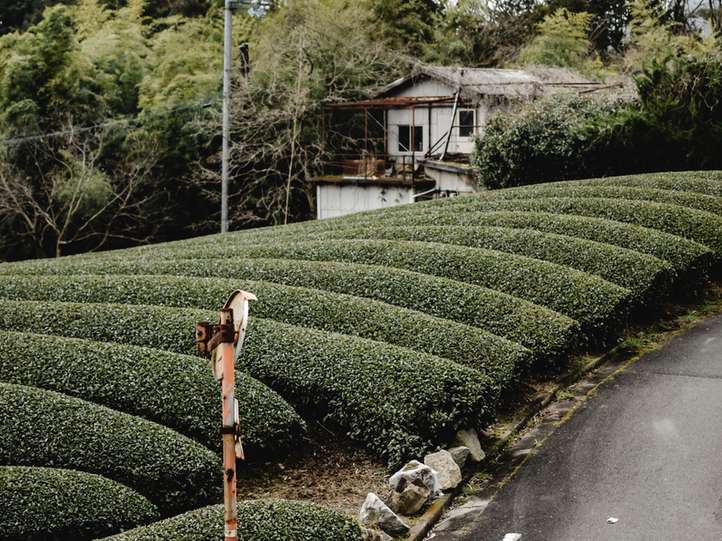 one-day-japan